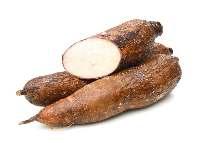 YUCA Ó CASSAVA